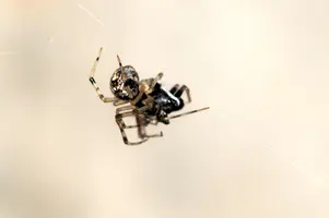 dsc_127665.jpg