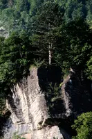 dsc_129976.jpg