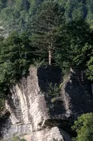 dsc_129977.jpg