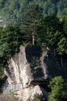 dsc_129978.jpg
