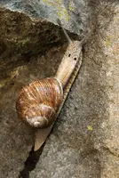 dsc_131087.jpg