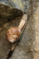 dsc_131088.jpg