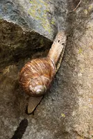 dsc_131089.jpg