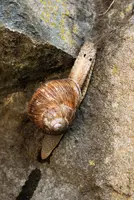 dsc_131090.jpg