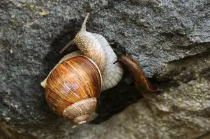 dsc_131096.jpg