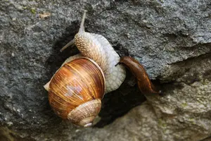 dsc_131098.jpg