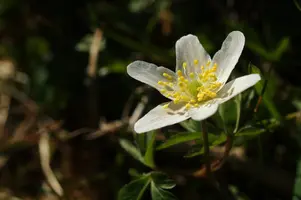 dsc_159502.jpg