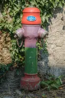 dsc_181303.jpg
