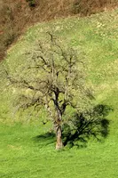dsc_201551.jpg