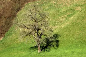 dsc_201554.jpg