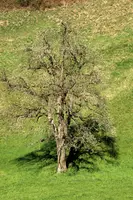 dsc_201569.jpg