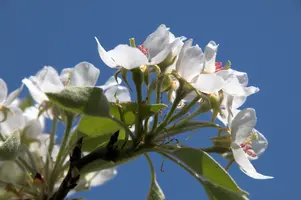 dsc_204141.jpg