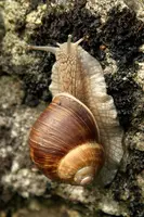 dsc_216976.jpg