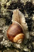 dsc_216979.jpg
