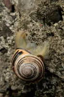 dsc_217030.jpg