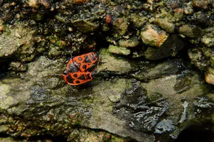 dsc_217064.jpg