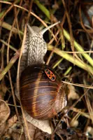 dsc_217097.jpg