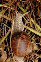 dsc_217102.jpg