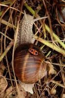 dsc_217105.jpg