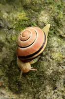 dsc_217141.jpg