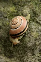 dsc_217143.jpg