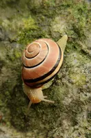 dsc_217144.jpg