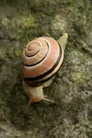 dsc_217146.jpg
