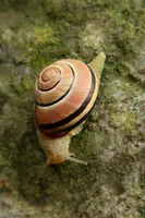 dsc_217147.jpg