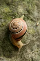 dsc_217164.jpg