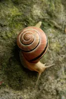 dsc_217168.jpg