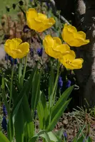 dsc_255087.jpg