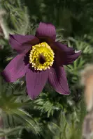 dsc_255089.jpg