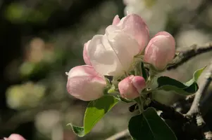 dsc_255192.jpg