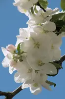 dsc_255308.jpg