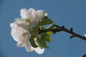 dsc_255312.jpg