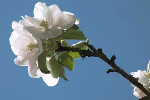 dsc_255319.jpg