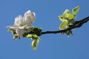 dsc_255320.jpg