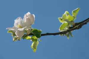 dsc_255321.jpg