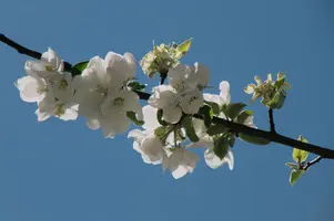 dsc_255324.jpg