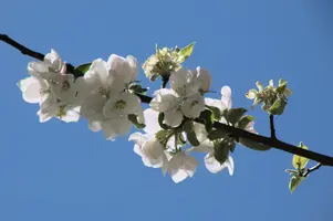 dsc_255325.jpg
