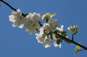dsc_255326.jpg