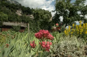 dsc_263551.jpg
