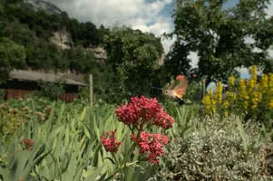 dsc_263552.jpg
