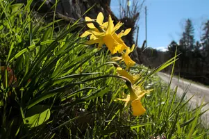 dsd_002179.jpg