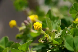 dsd_008016.jpg