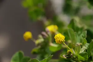 dsd_008018.jpg