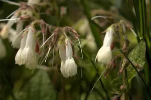 dsd_008040.jpg