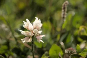 dsd_008054.jpg