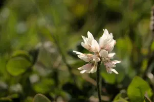 dsd_008058.jpg