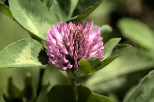 dsd_008064.jpg